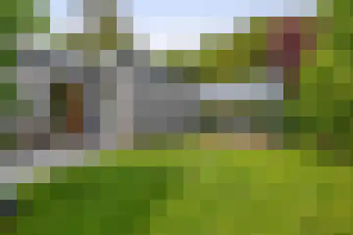 Tammingasingel 2 Winsum thumbnail 37
