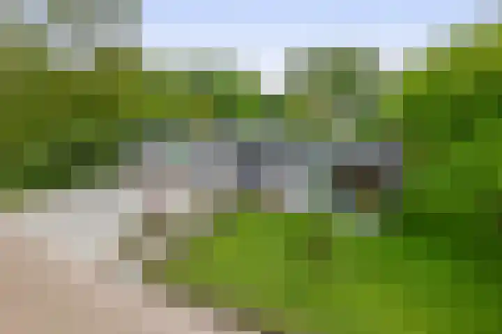 Tammingasingel 2 Winsum thumbnail 39