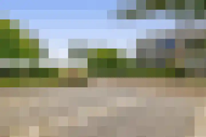 Tammingasingel 2 Winsum thumbnail 40