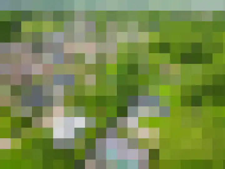 Tammingasingel 2 Winsum thumbnail 41
