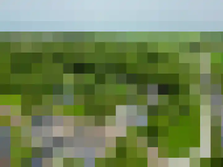 Tammingasingel 2 Winsum thumbnail 42