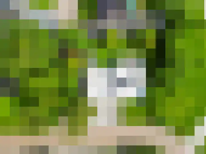 Tammingasingel 2 Winsum thumbnail 43