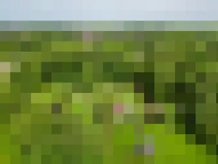 Tammingasingel 2 Winsum thumbnail 44