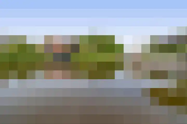 Tammingasingel 2 Winsum thumbnail 46