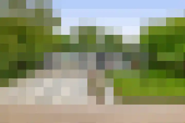 Tammingasingel 2 Winsum thumbnail 5