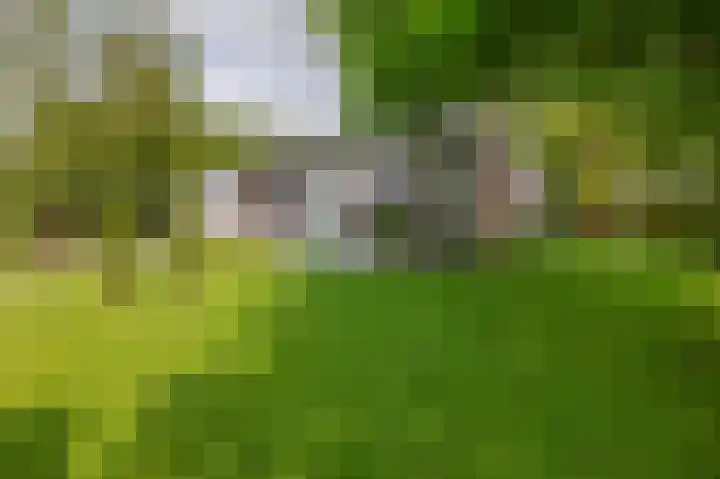 Tammingasingel 2 Winsum thumbnail 6