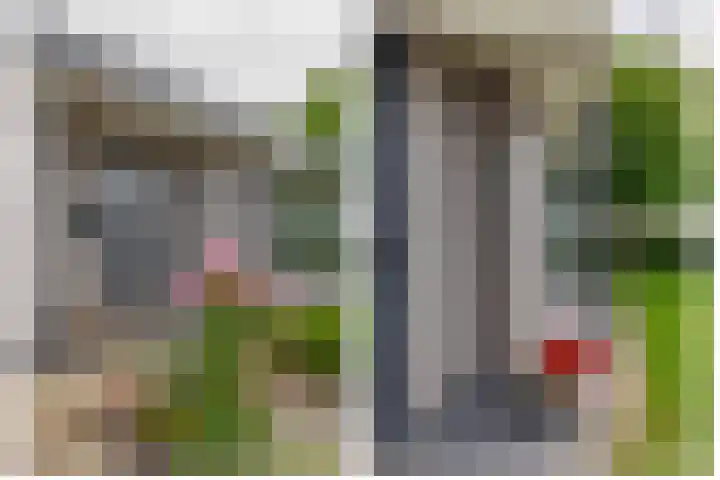 Tammingasingel 2 Winsum thumbnail 7