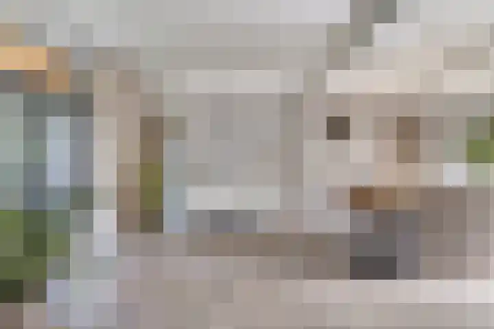 Tammingastraat 42 Hornhuizen thumbnail 10