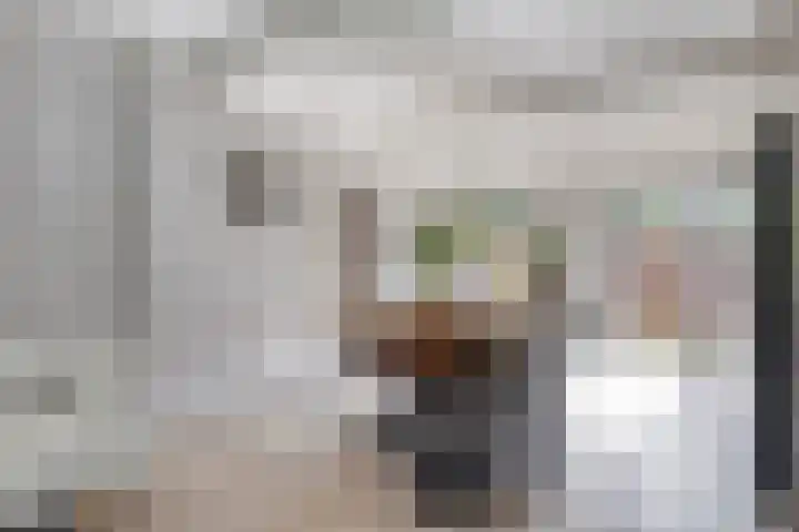 Tammingastraat 42 Hornhuizen thumbnail 11