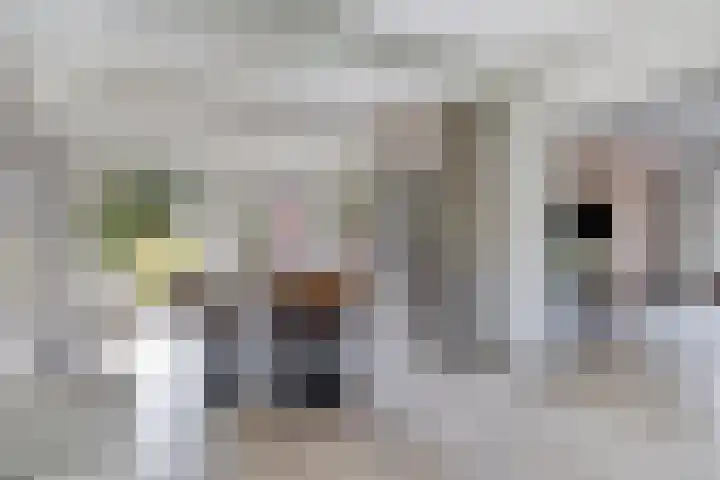 Tammingastraat 42 Hornhuizen thumbnail 12