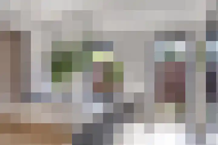Tammingastraat 42 Hornhuizen thumbnail 13