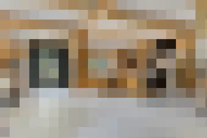 Tammingastraat 42 Hornhuizen thumbnail 22
