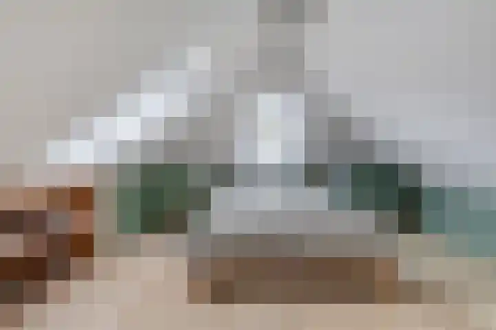 Tammingastraat 42 Hornhuizen thumbnail 24