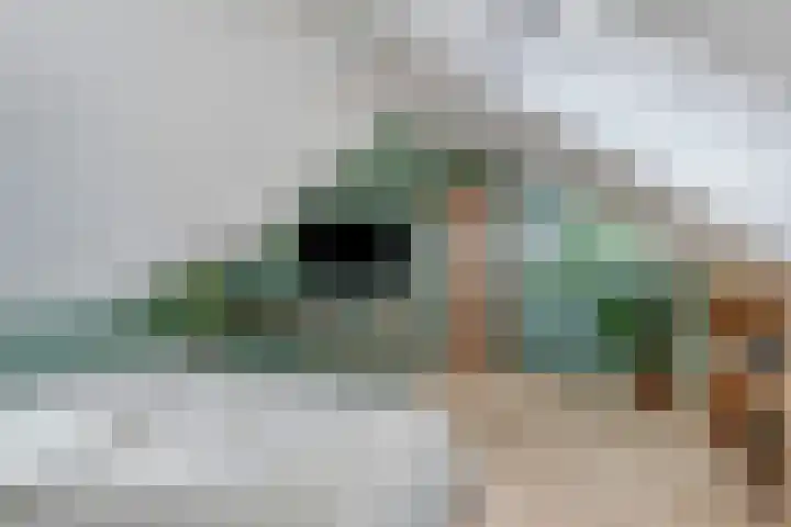 Tammingastraat 42 Hornhuizen thumbnail 25