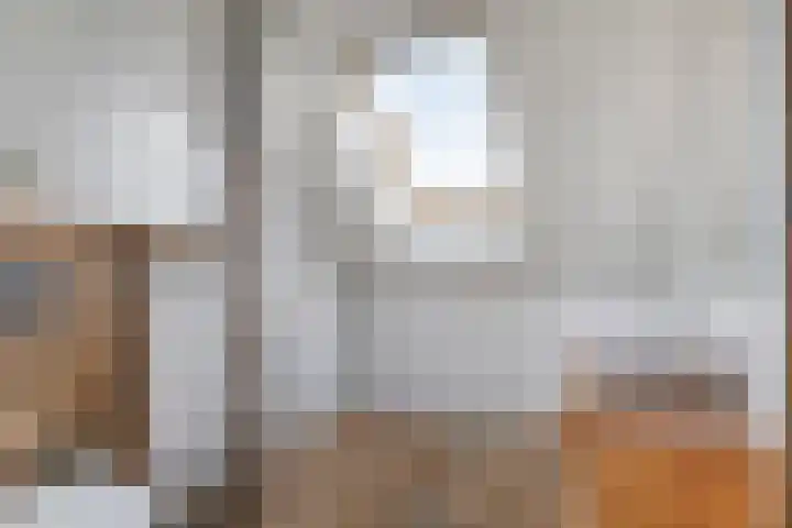 Tammingastraat 42 Hornhuizen thumbnail 30