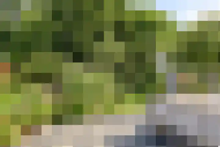 Tammingastraat 42 Hornhuizen thumbnail 31