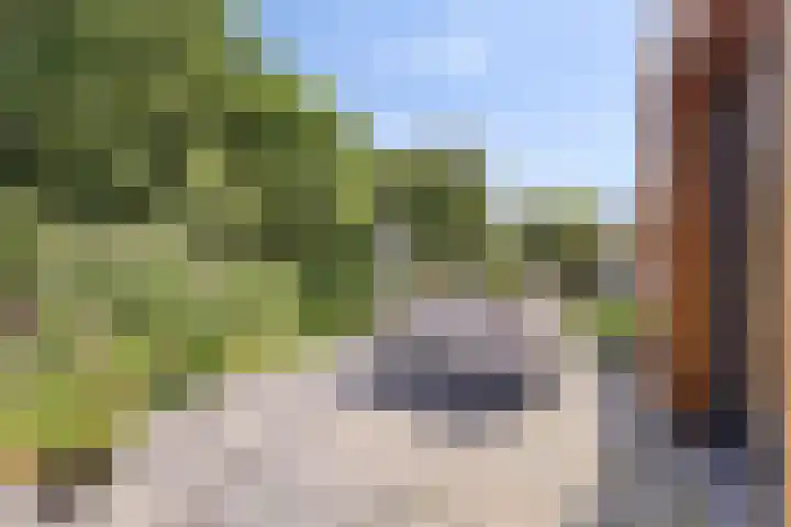 Tammingastraat 42 Hornhuizen thumbnail 32