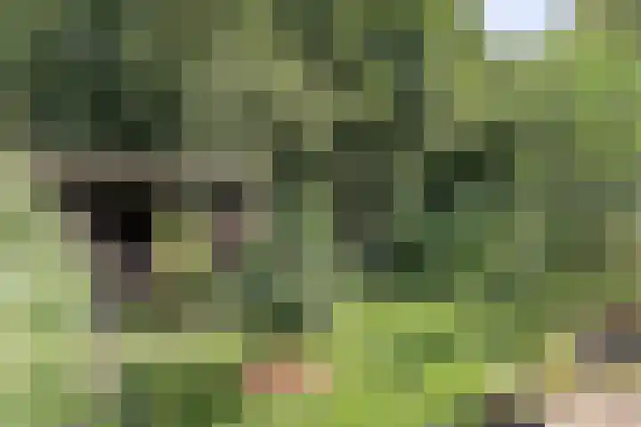Tammingastraat 42 Hornhuizen thumbnail 33