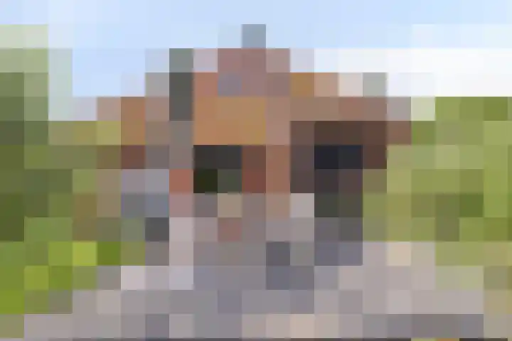 Tammingastraat 42 Hornhuizen thumbnail 34