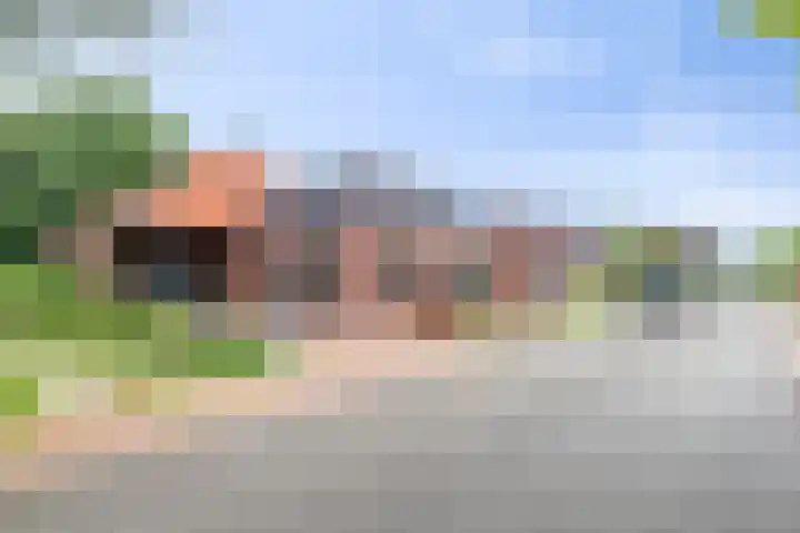 Tammingastraat 42 Hornhuizen thumbnail 40