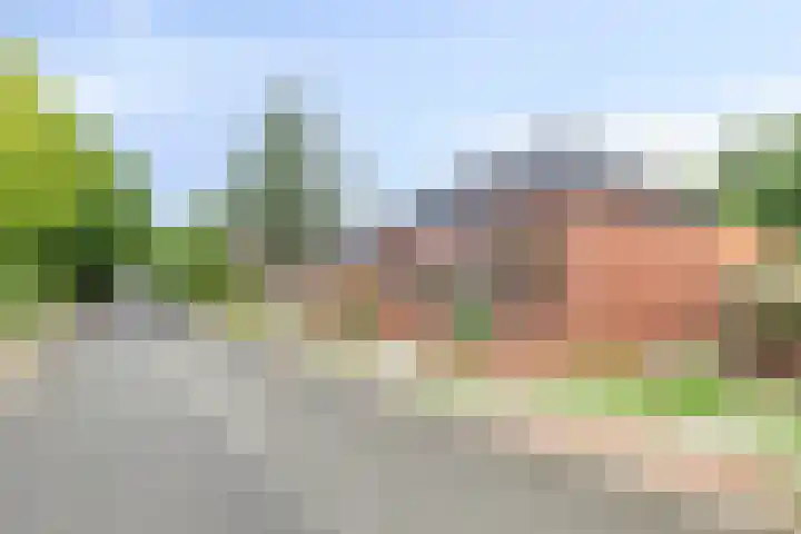 Tammingastraat 42 Hornhuizen thumbnail 41