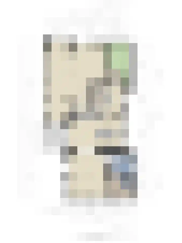 Tammingastraat 42 Hornhuizen thumbnail 42