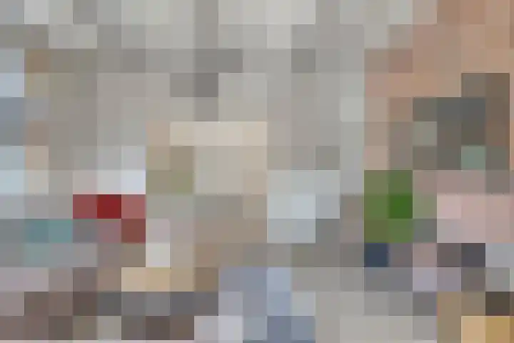 Tammingastraat 42 Hornhuizen thumbnail 6