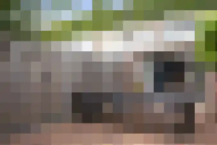 Tammingecamp 16 Emmen thumbnail 31