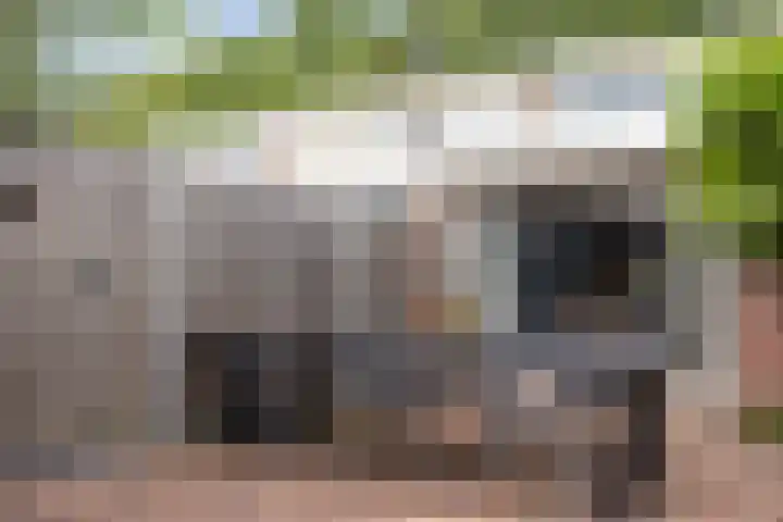Tammingecamp 16 Emmen thumbnail 32