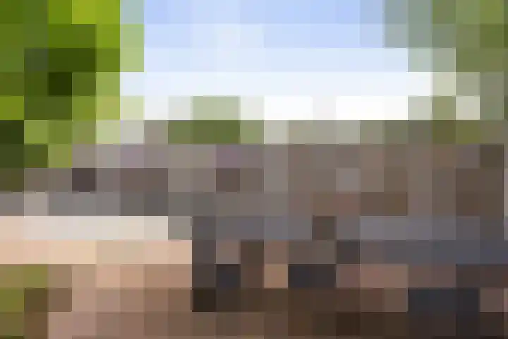 Tammingecamp 16 Emmen thumbnail 33