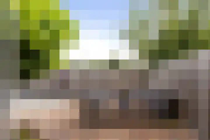 Tammingecamp 16 Emmen thumbnail 34