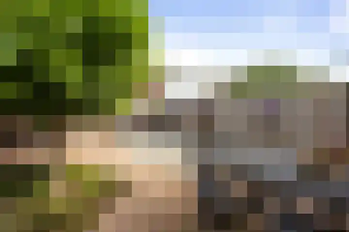 Tammingecamp 16 Emmen thumbnail 35
