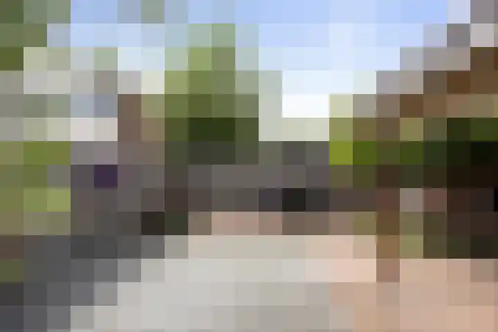 Tammingecamp 16 Emmen thumbnail 36