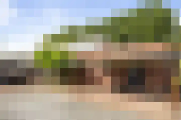 Tammingecamp 16 Emmen thumbnail 38