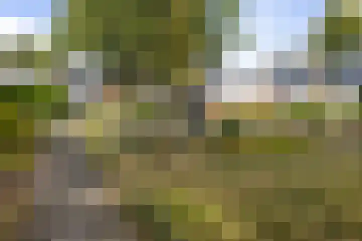 Tammingecamp 16 Emmen thumbnail 39