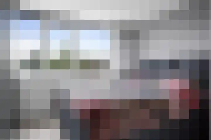 Tammingecamp 16 Emmen thumbnail 4