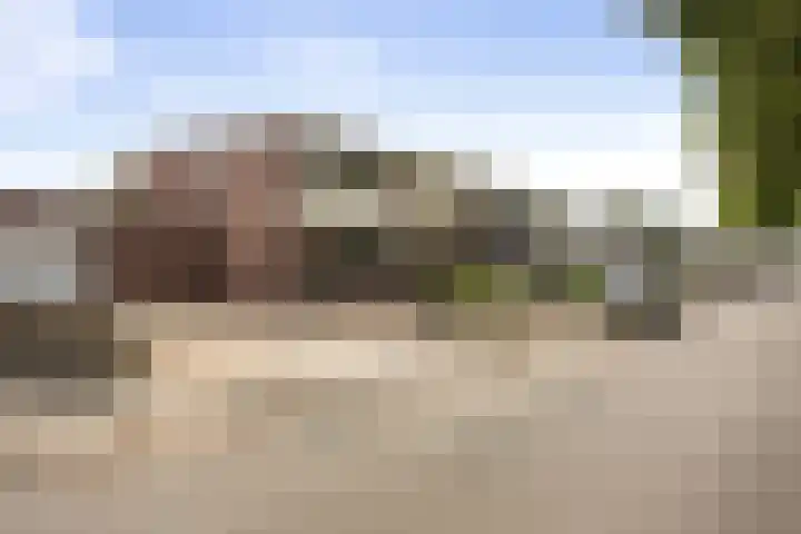 Tammingecamp 16 Emmen thumbnail 7