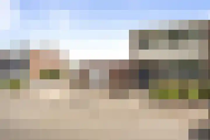Tammingecamp 16 Emmen thumbnail 9