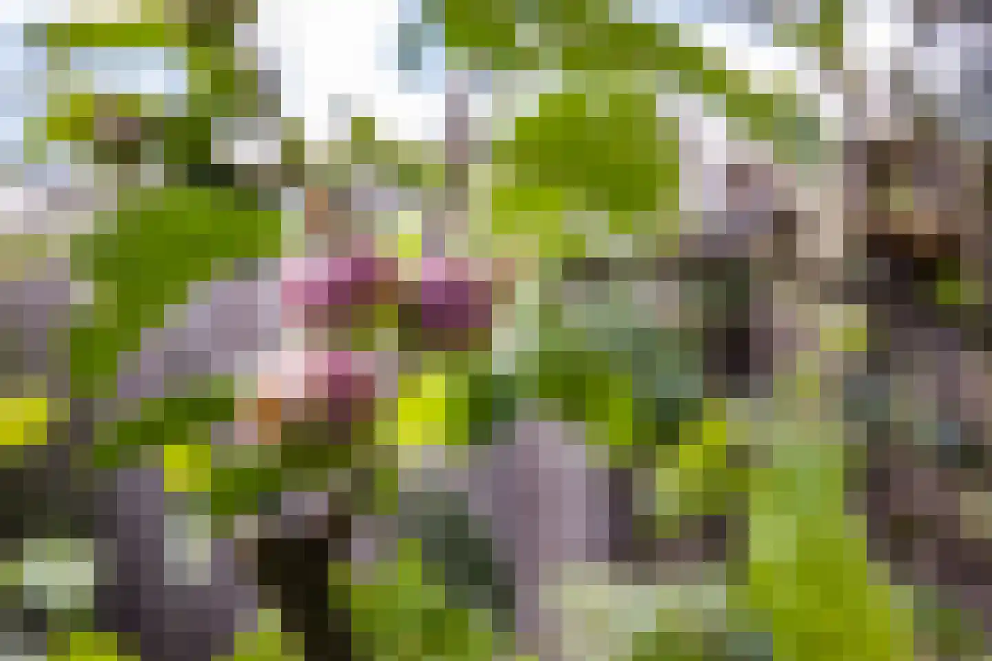 Tampicodreef 9 Utrecht thumbnail 18