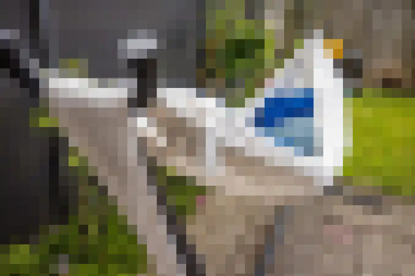 Tampicodreef 9 Utrecht thumbnail 20