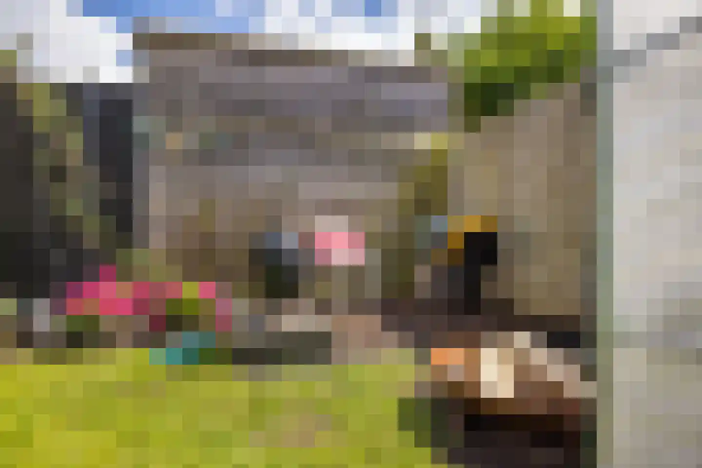 Tampicodreef 9 Utrecht thumbnail 26