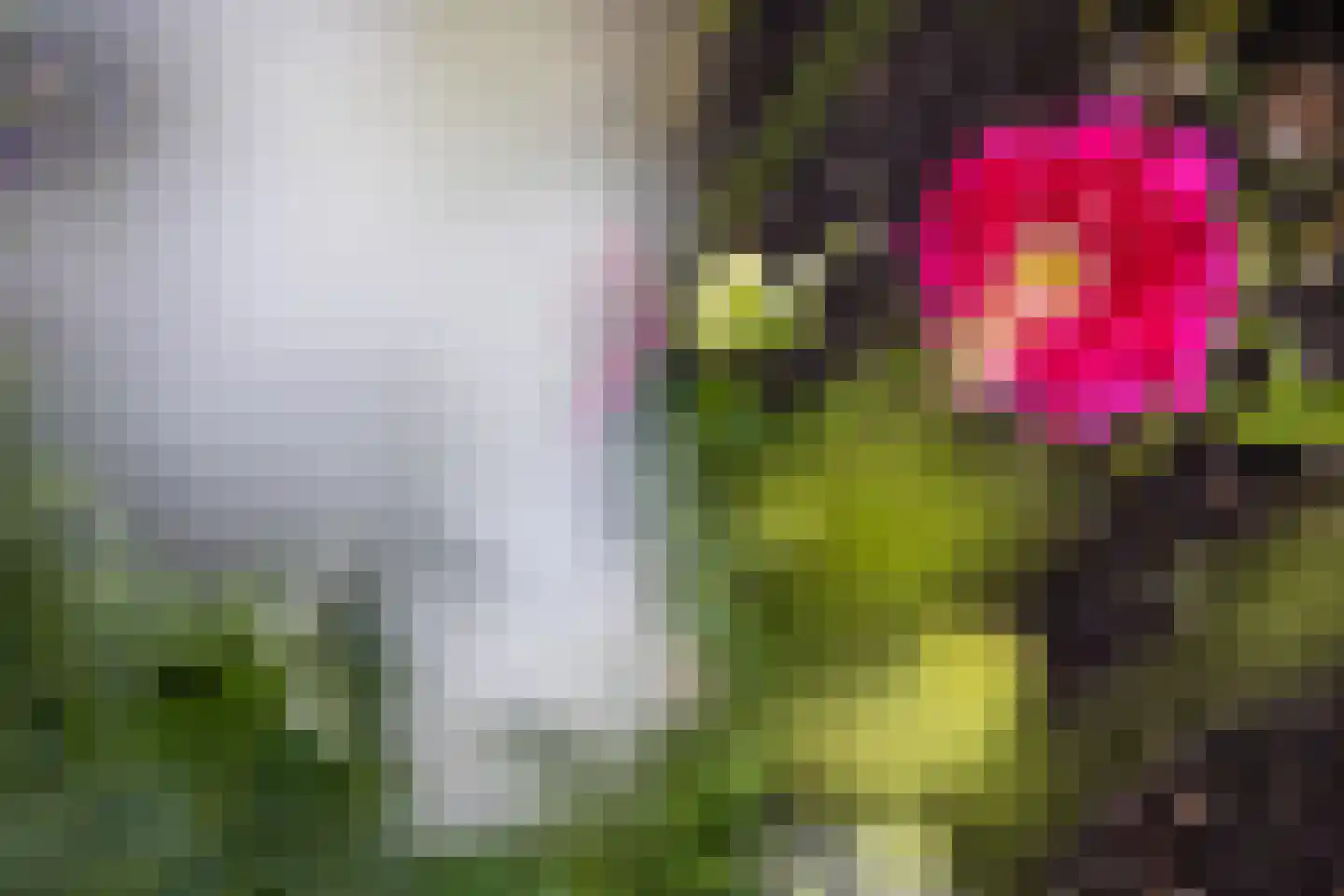 Tampicodreef 9 Utrecht thumbnail 28