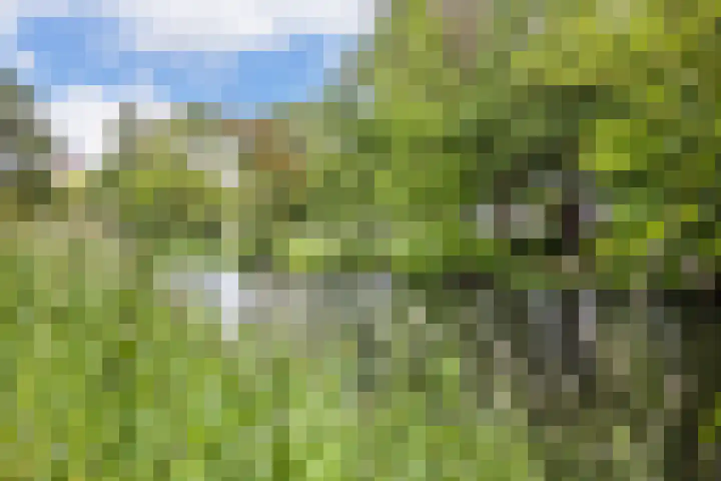 Tampicodreef 9 Utrecht thumbnail 43