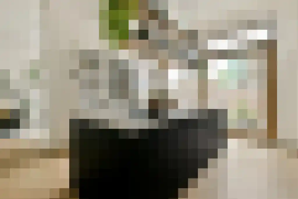 Tan Malakastraat 86 Amsterdam thumbnail 5