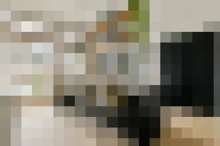 Tan Malakastraat 86 Amsterdam thumbnail 8