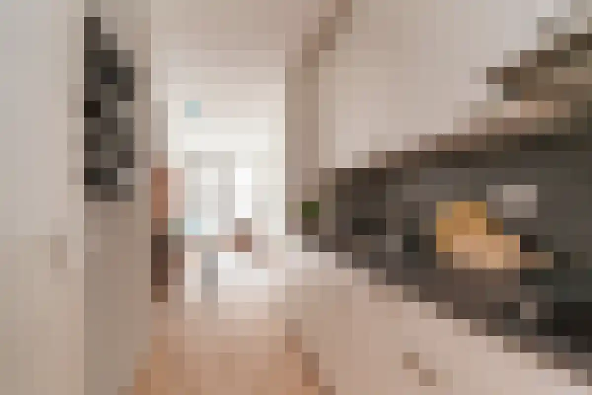 Tandwielstraat 775 Rotterdam thumbnail 4