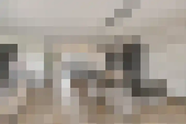 Tangelderhof 12 Tolkamer thumbnail 10