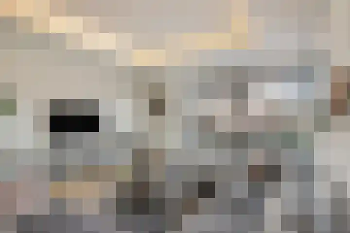 Tangelderhof 12 Tolkamer thumbnail 13