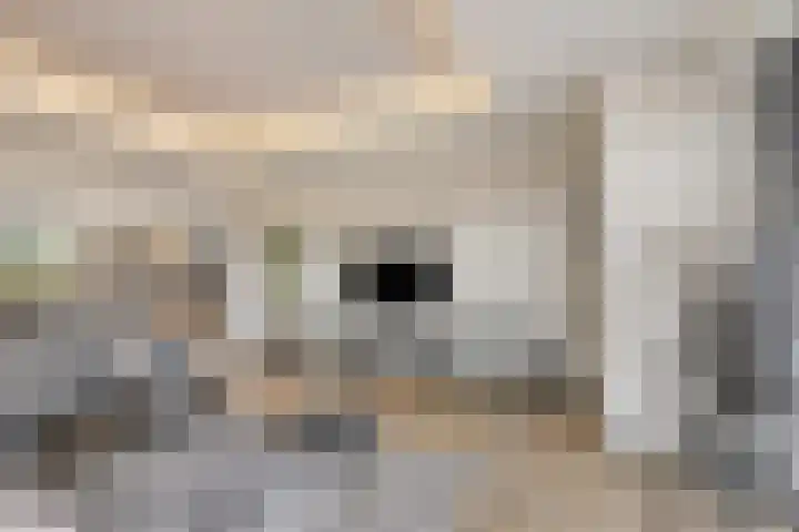 Tangelderhof 12 Tolkamer thumbnail 15