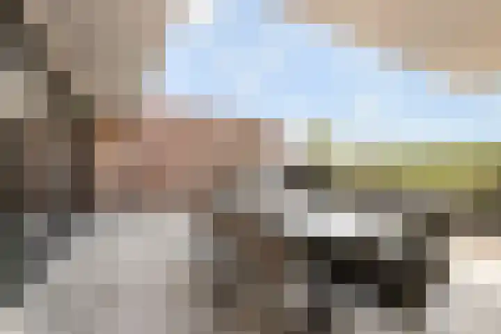 Tangelderhof 12 Tolkamer thumbnail 22